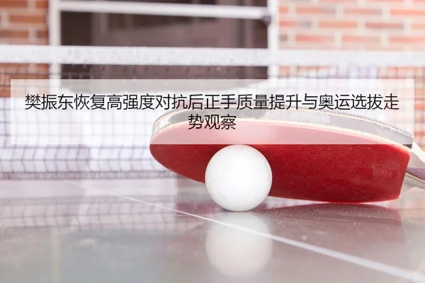 樊振东恢复高强度对抗后正手质量提升与奥运选拔走势观察